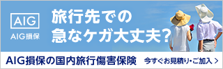 AIG損保の国内旅行傷害保険